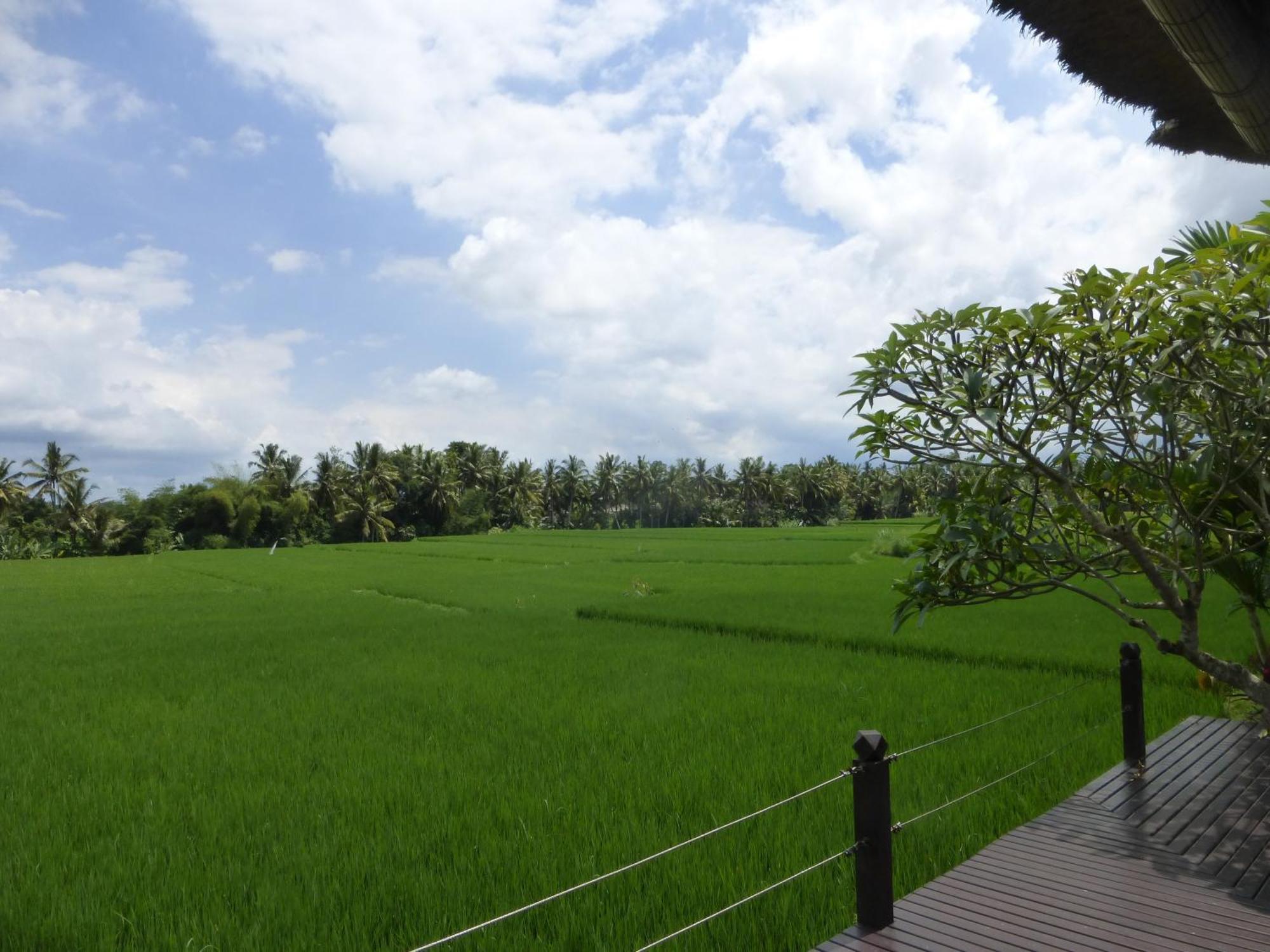 Bali Harmony Villa Убуд Номер фото