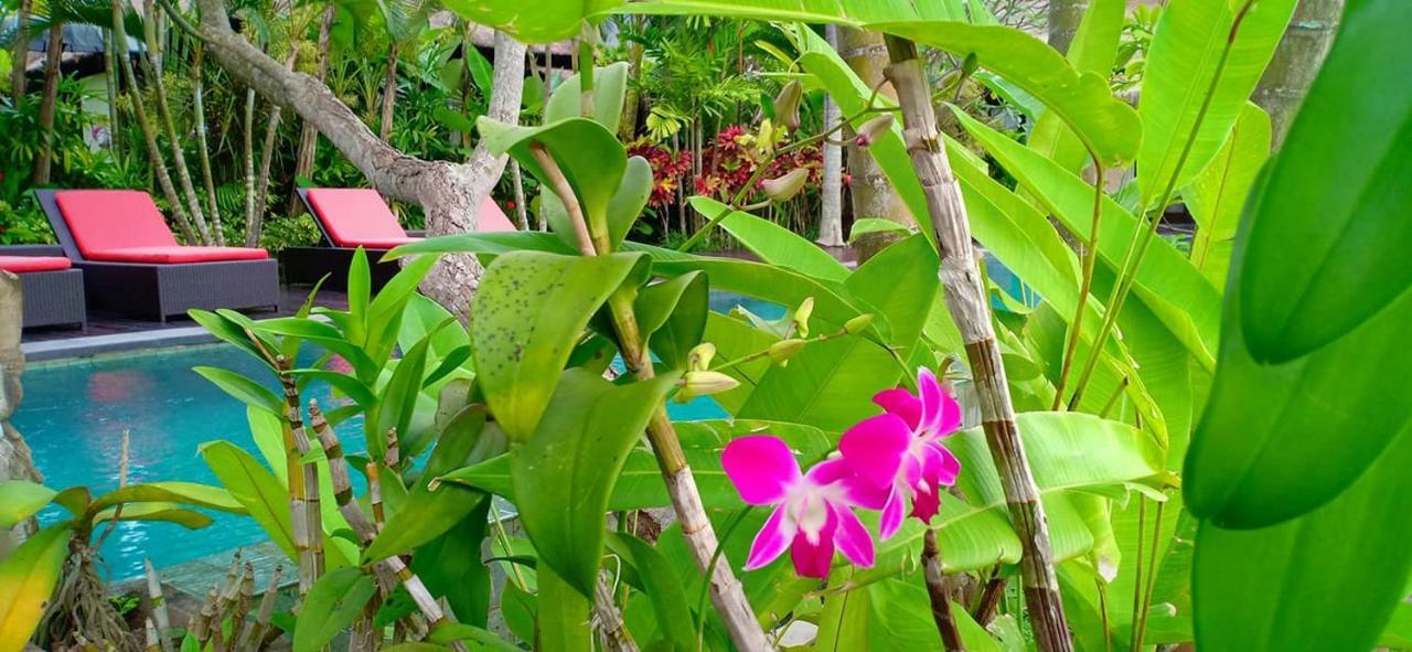 Bali Harmony Villa Убуд Экстерьер фото